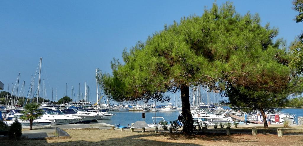 Apartment Zovko Poreč Exteriér fotografie